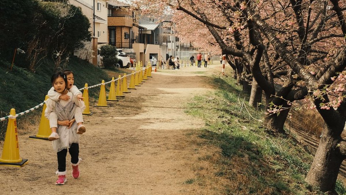 Children enjoying a spring day under cherry blossom trees in Okazaki, Aichi, Japan.