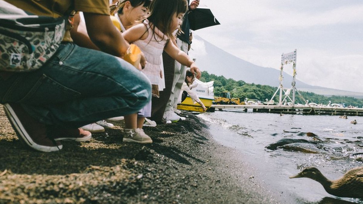 A family enjoys feeding ducks on a lake shore with scenic mountain views on a sunny day.