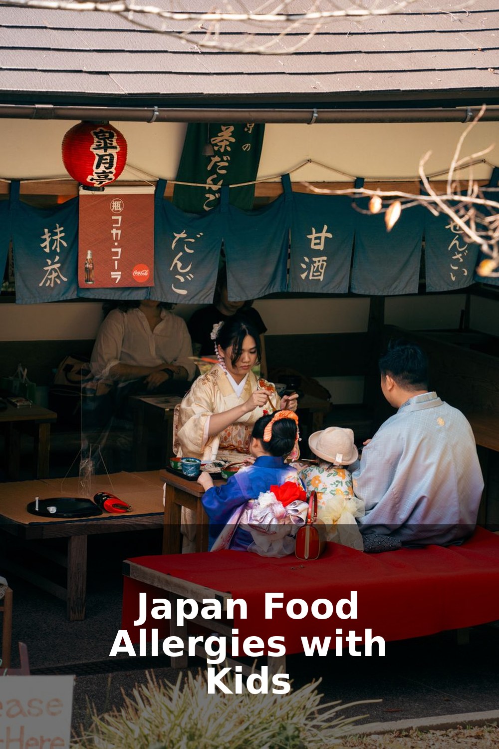 Japan Food Allergies with Kids: A Parent's Guide
